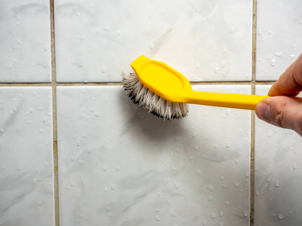 Best Mold Testing  in Watsonville, CA