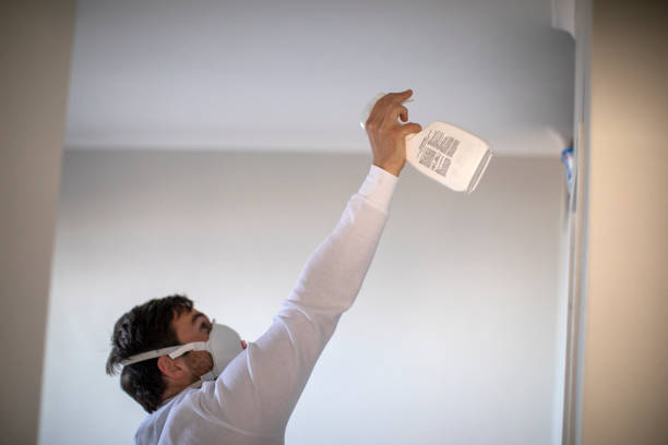 Office Mold Removal Services in Watsonville, CA