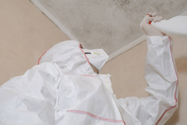 Water Damage Restoration in Watsonville, CA